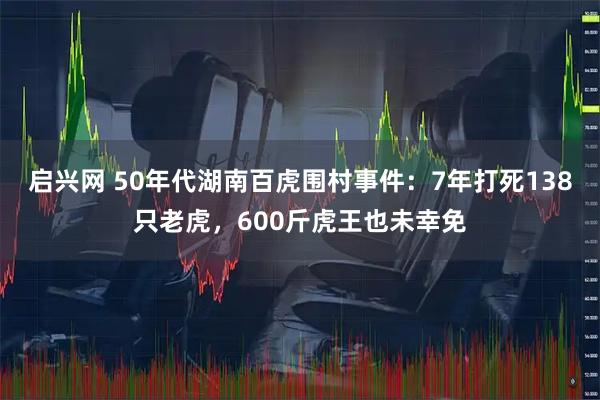 启兴网 50年代湖南百虎围村事件：7年打死138只老虎，600斤虎王也未幸免