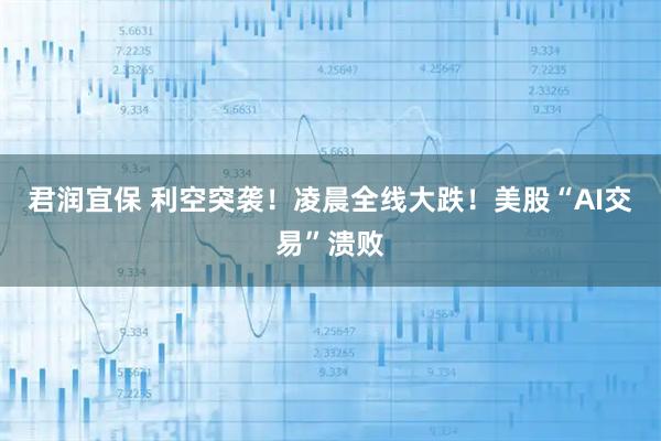 君润宜保 利空突袭！凌晨全线大跌！美股“AI交易”溃败