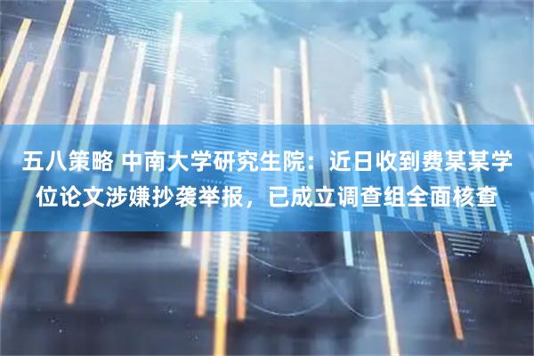 五八策略 中南大学研究生院：近日收到费某某学位论文涉嫌抄袭举报，已成立调查组全面核查